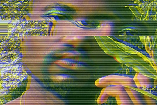 Close up image of Samiir's face, distorted by a section of his upper profile offset. His hand is touching a green leaf.
