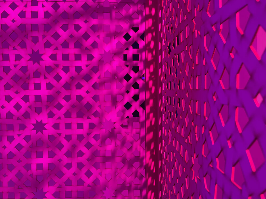 Fahima Akthar, A Zenana Dialogue, Installation Shots at Vivid Projects Nov 2025